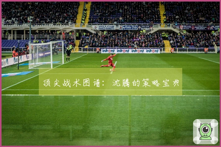 顶尖战术图谱：沈腾的策略宝典