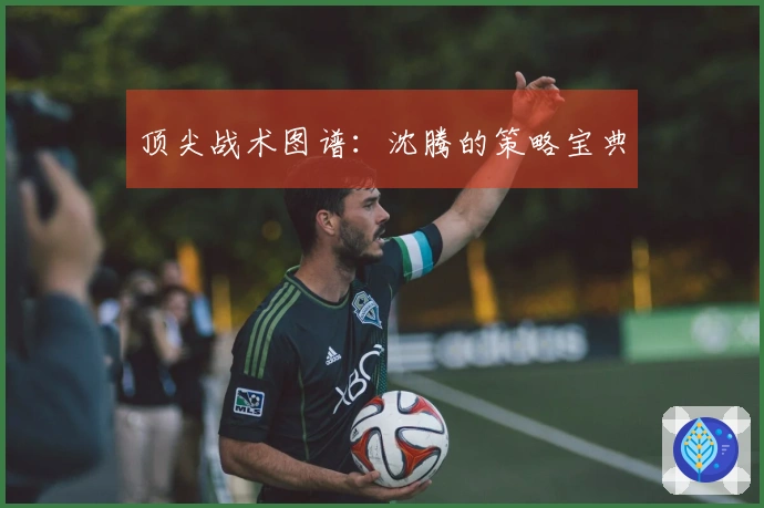 顶尖战术图谱：沈腾的策略宝典