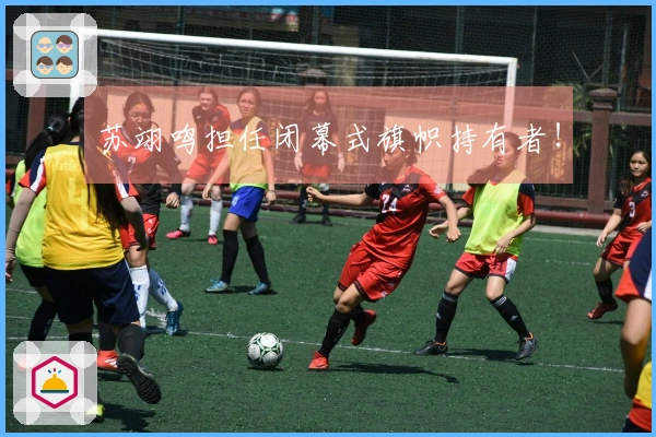 苏翊鸣担任闭幕式旗帜持有者！