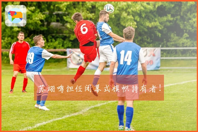 苏翊鸣担任闭幕式旗帜持有者！